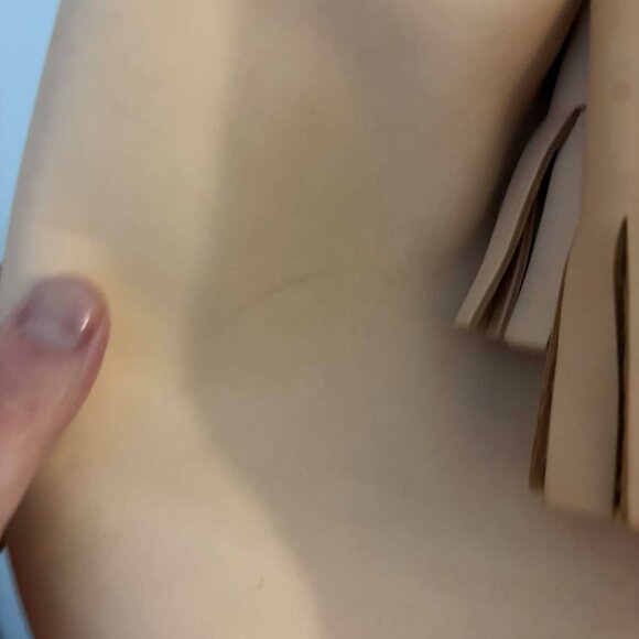 Building Block Bucket Bag in Nude (NWOT) - Retailed for $485 - Picture 4 of 4
